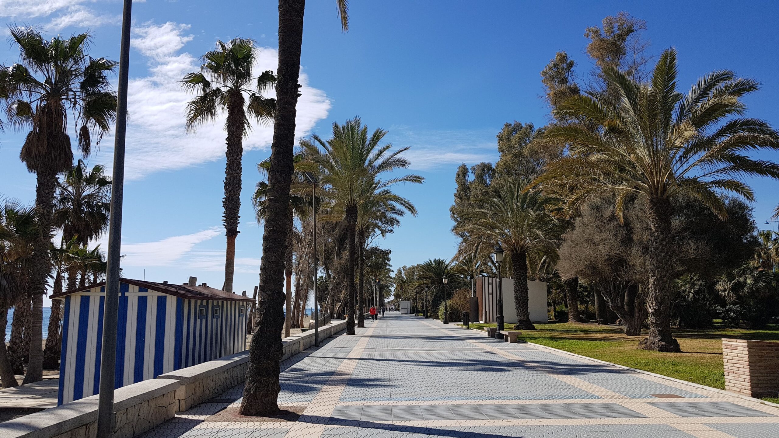 Why March is the Strategic Month for Investment in Marbella